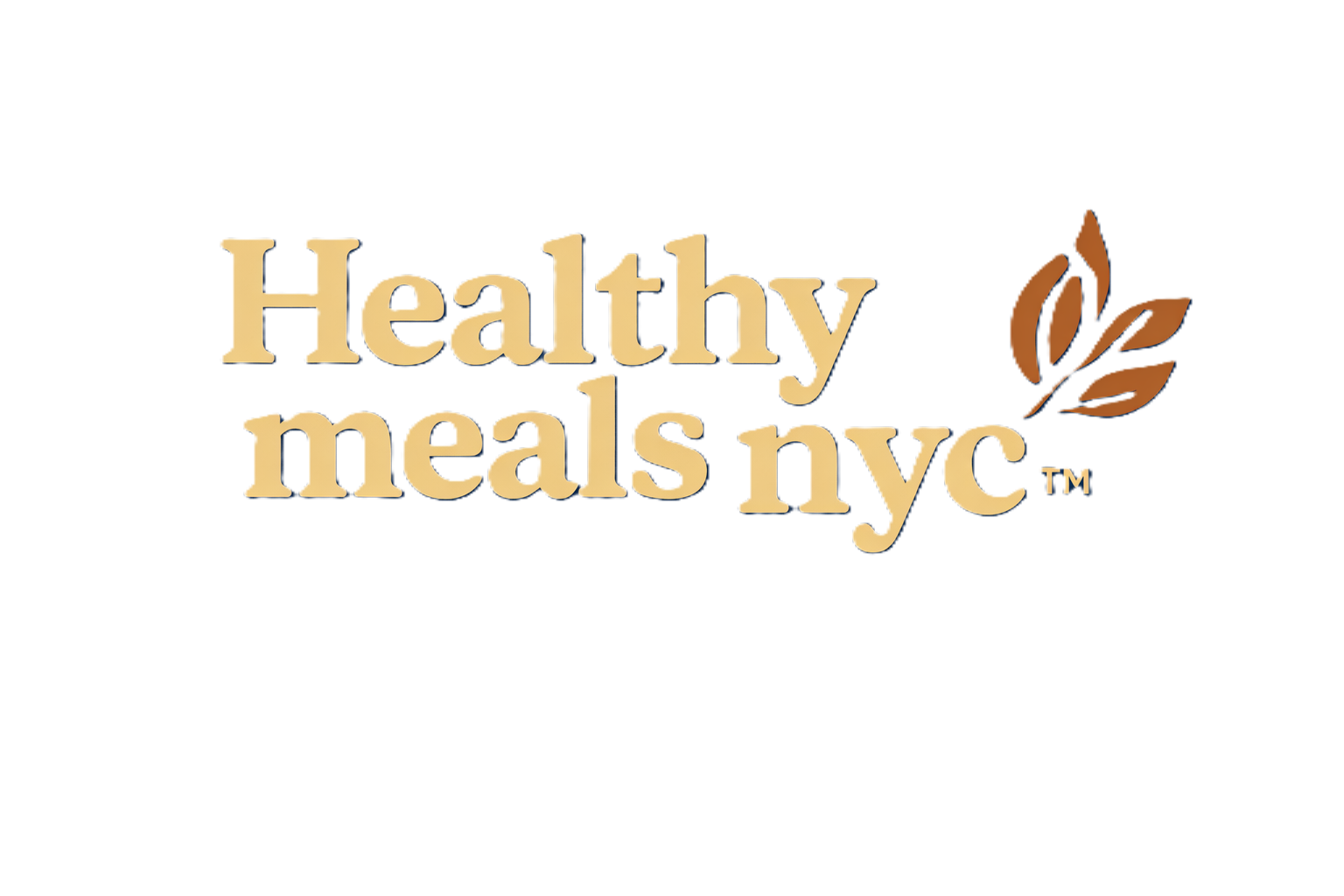 Healthy Meals NYC Logo
